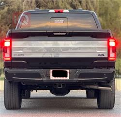 فۆرد F-150